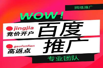 百度竞价推广公司案例：低成本高效益营销策略